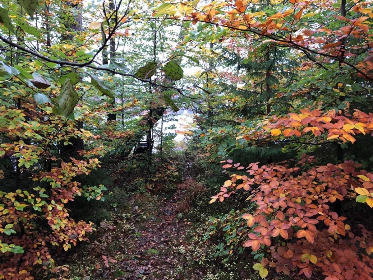 Naturskoent Boende Vid Sjoe Skånes Fagerhult 外观 照片
